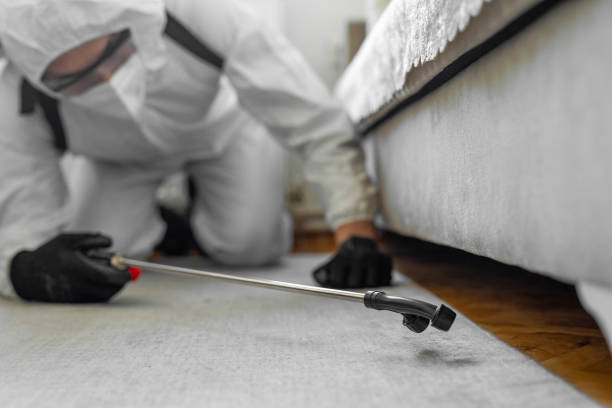 Professional Bed Bug Control technician working in Bement, IL