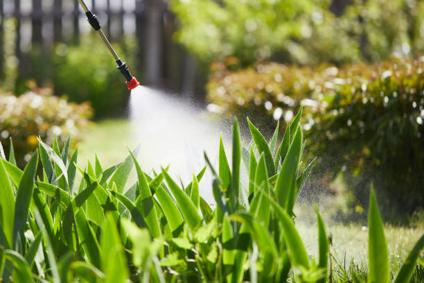 24/7 Emergency Bed Bug Control experts in Bement, IL