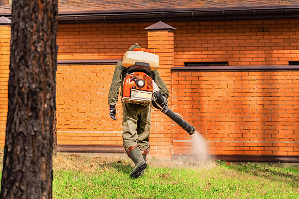 Trusted Rodent Control service in Bement, IL - Nex Pest Control